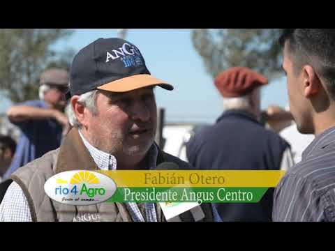 PROGRAMA RIO 4 AGRO 25 04 BLOQUE 3