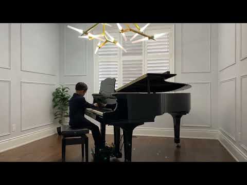 Don Chen - Robots by Anne Crosby Gaudet