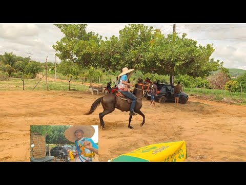 Feira do troca xexéu de cima região de Estrela de Alagoas. AL. Aos domingos de manhã. 01/02/2026