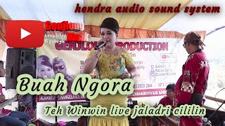 Download lagu Buah Ngora live Teh winwin mp3