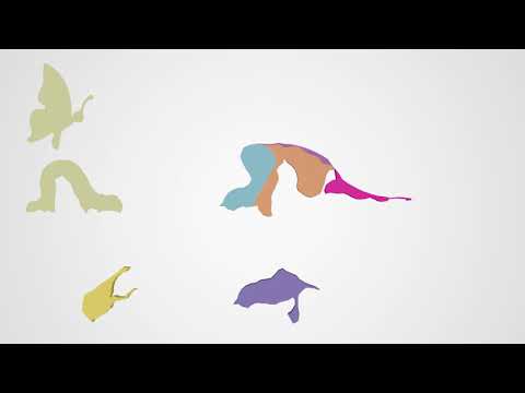 SIGGRAPH Asia 2017 - Approximate Dissections