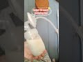 TIPS MENINGKATKAN PRODUKSI ASI