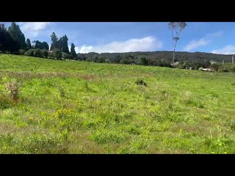 Lote en Venta 2 Hectáreas Vereda Frailejonal La Calera Cundinamarca