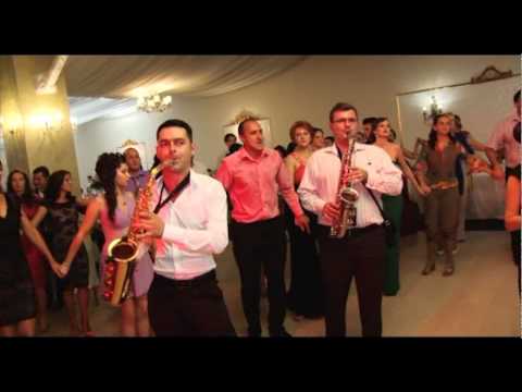 Andreea Voica - Brauri Nunta Raluca&Zlatko