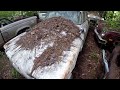 We Found An Abandoned Junkyard Filled With Forgotten Classic Cars!
