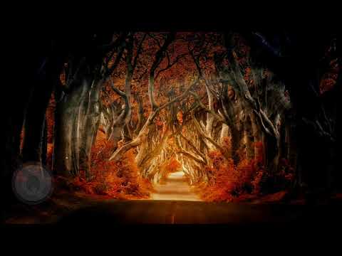 💎Dancing Till we Get Lost-frigga🎶