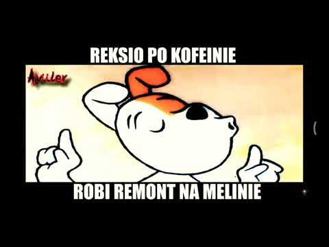 Reksio po kofeinie robi remont na melinie