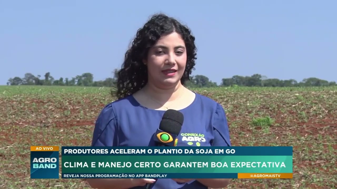 Plantio da soja avança em Goiás e produtores apostam em alta produtividade
