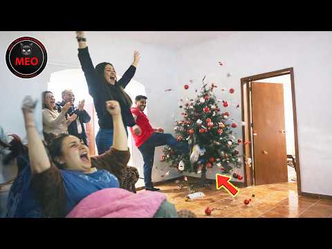 Moments when Thing Went Wrong (P159) | 2025 Idiots at Work & Instant Regret Fails Compilation