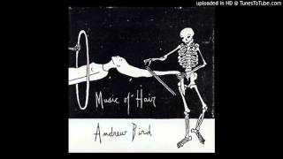 Andrew Bird - Pathetique
