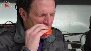 Chilli Eating Contest Eastnor Castle - Sunday 30th Apr 2017