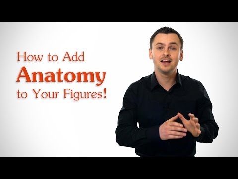 How to Add Anatomy to Your Figures
