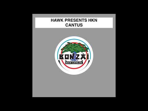 HKN - Cantus (Original Mix)