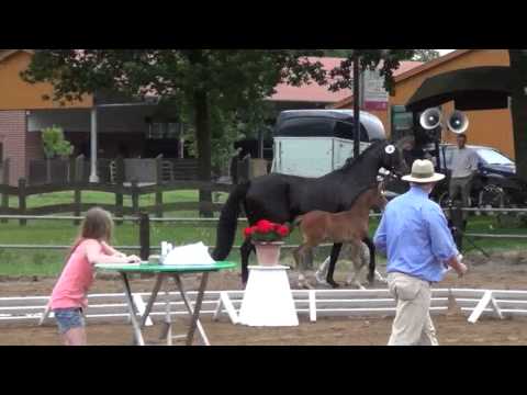 Lissarino Stroehen2014