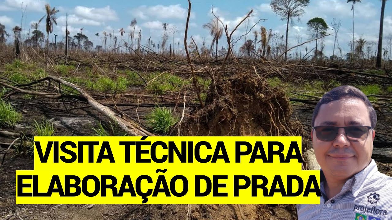 Como é uma Visita técnica para Elaboração de um PRAD ou PRADA?