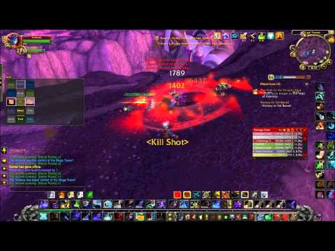MM Hunter pvp  4.3