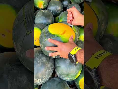 Coupe Sa Pastèque Pour Prouver Qu’elle Est Fraîche… Regardez ! 🤯