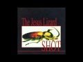 The Jesus Lizard - "Blue Shot" 