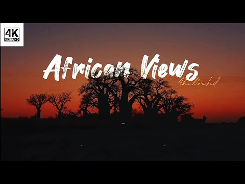 Namibia and Botswana in 4K - Fabulous African Views