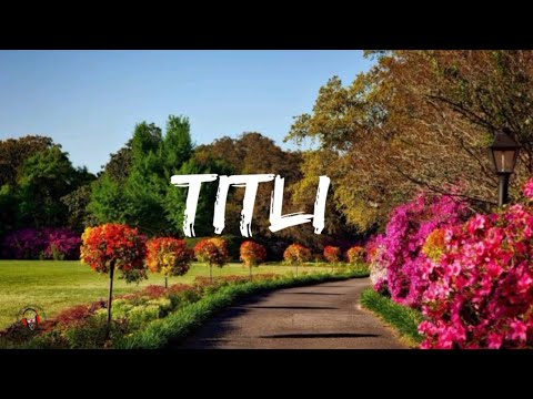 Chennai Express - Titli (Lyrics video) | Shahrukh Khan | Deepika Padukone|