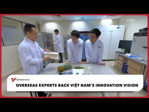 海外專家力挺越南創新願景 | Vietnam Today (Overseas experts back Việt Nam’s innovation vision | Vietnam Today)