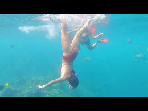 Beach Hopper Snorkeling Tour - Cabo Expeditions
