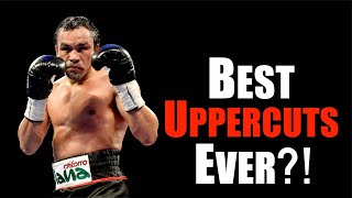Download lagu Marquez s Terrifying Counter Punching Explained... mp3