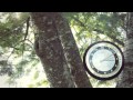Helios - Nothing It Can 