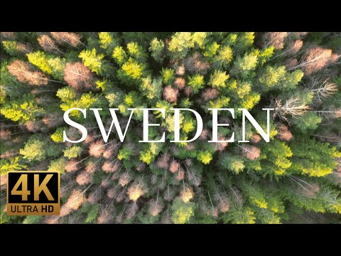 SWEDEN IN 4K - Peaceful Nature and Endless Forests - Relaxing Music