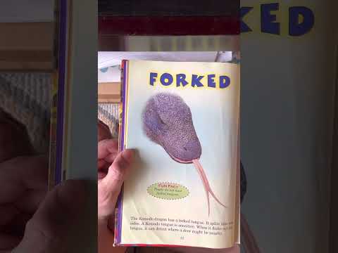 Who would win? Komodo dragon vs. king cobra (reading with Benny’s dad)