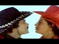 Adavi Donga Movie Veera Vikrama Video Song Chiranjeevi Radha