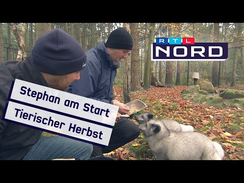 Einen Tag als Tierpfleger