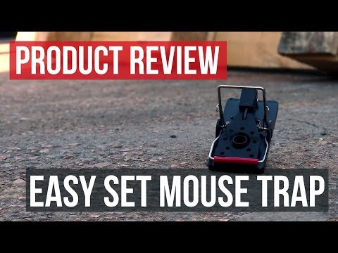 Easy Set Mouse Trap: Product Review