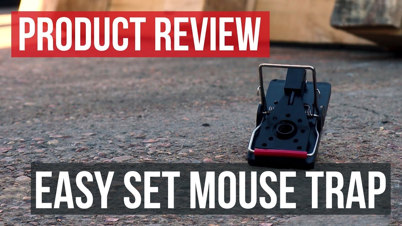 Easy Set Mouse Trap: Product Review