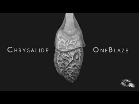 OneBlaze - Chrysalide [Audio] (DEC 2015)