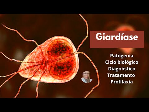 Giardíase: patogenia, ciclo biológico, diagnóstico, tratamento e profilaxia