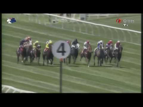 2013 The Coolmore Stud Stakes G1 - Zoustar (摘星勇驥) - J.Cassidy (騎師賈西迪第 100th 場一級賽冠軍)