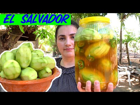 download lagu mp3 mp4 Mango Verde, download lagu Mango Verde gratis, unduh video klip Mango Verde