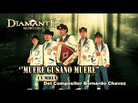 ''Muere Gusano Muere'' (cumbia) Conjunto Diamante Norteño