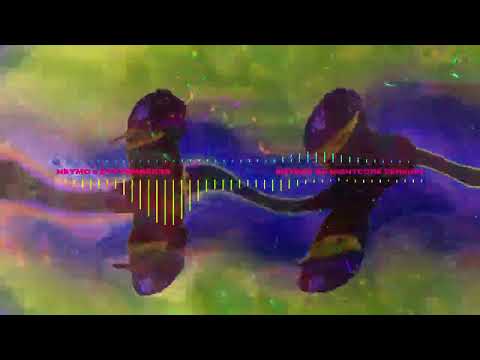 NEYMO x SYPTEMBER33 - ERYDAY (8D Nightcore)