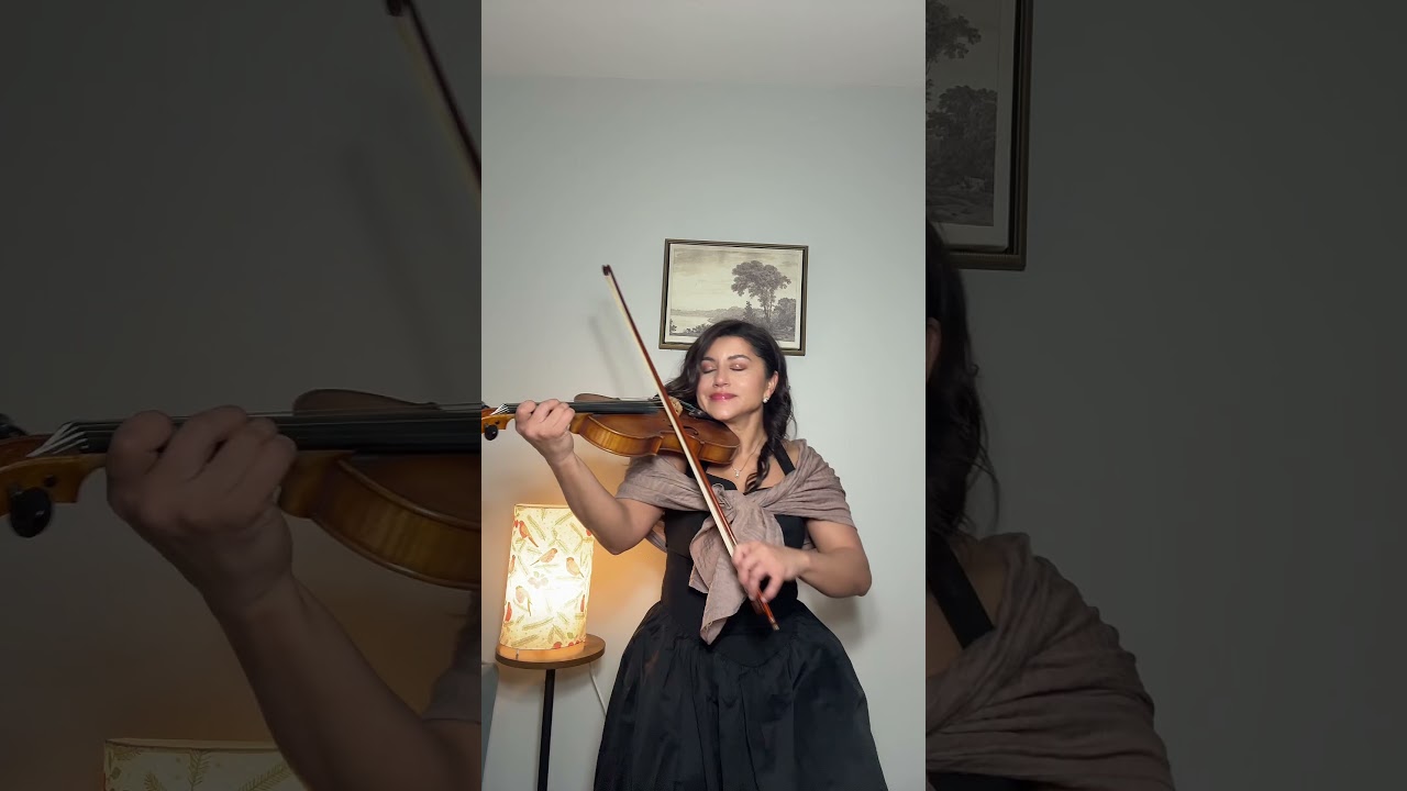 Promotional video thumbnail 8 for Violin Music for Weddings by Bruni Koeller