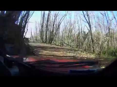 6° Gran Ducato di Toscana