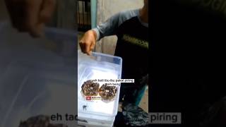 Download lagu Tahan Tawa, tukang donat lucu banget!!? mp3 Download lagu Tahan Tawa, tukang donat lucu banget!!? mp3