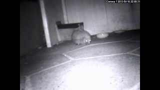 Billy leaves home, part 2