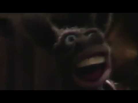 The Best Muppet Musicians Of Bremen Sitcom Ever!