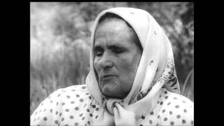 Солдатські вдови.mpg