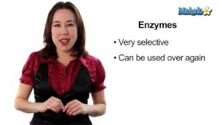 Learn Biology: Cells—Enzymes