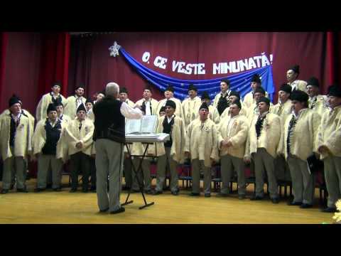 ,, CORUL BARBATESC '' DIN FINTEUSUL  MARE