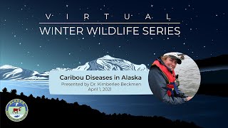 Caribou Disease: Infectious Agents Impacts on Populations