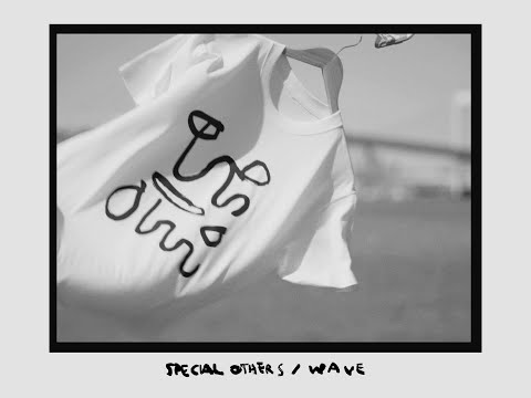 WAVE（Music Video） のサムネイル